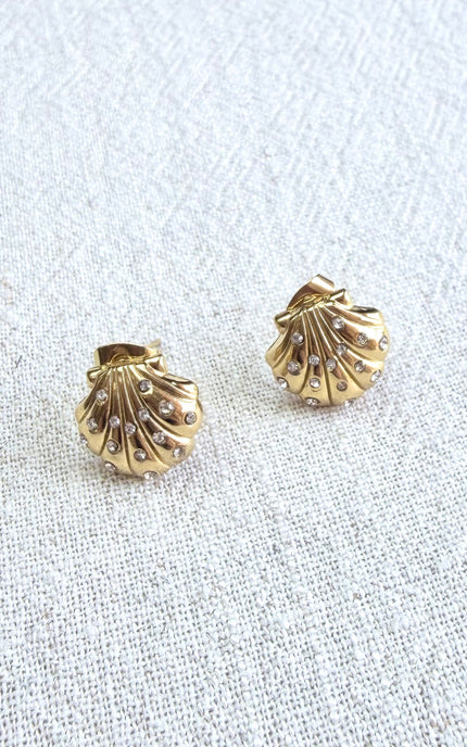 Gold shell-shaped earrings on a textured white background