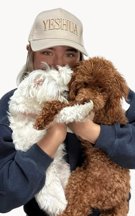 Person wearing a cap with 'Yeshua' holding two small dogs on a plain background