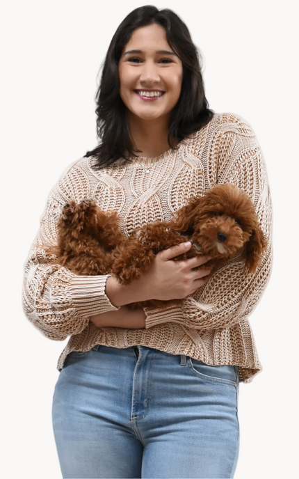 Heritage Cotton Cable Sweater on soft linen background, featuring 100% cotton knit with cable and ribbed texture.