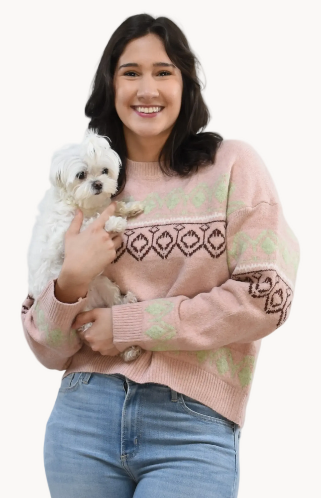 Mosaic Knit Pullover on soft linen background, featuring a geometric knit pattern and relaxed silhouette.